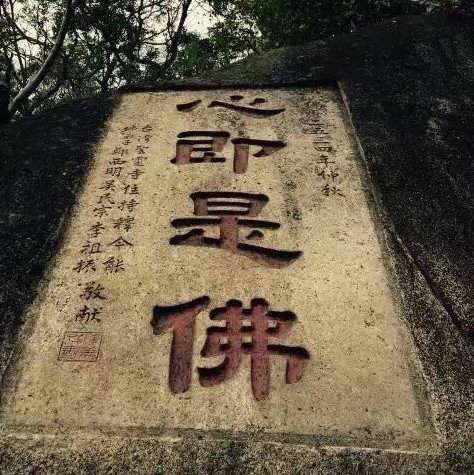 795004 知足
