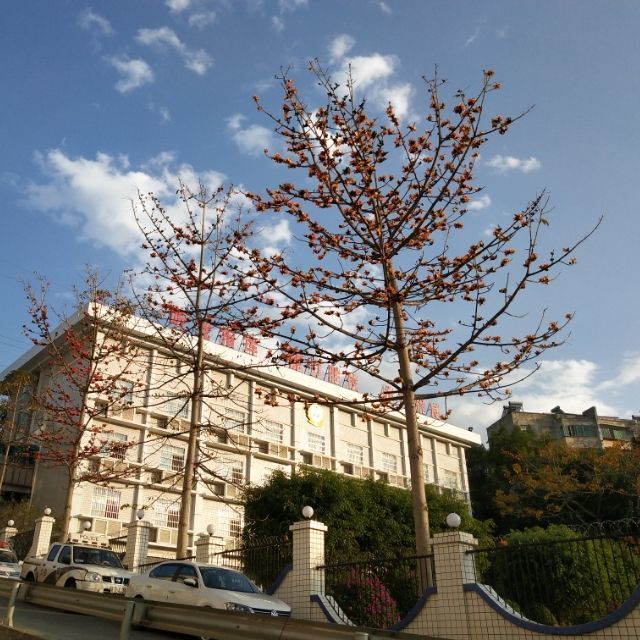 795155 ０＊寂寞