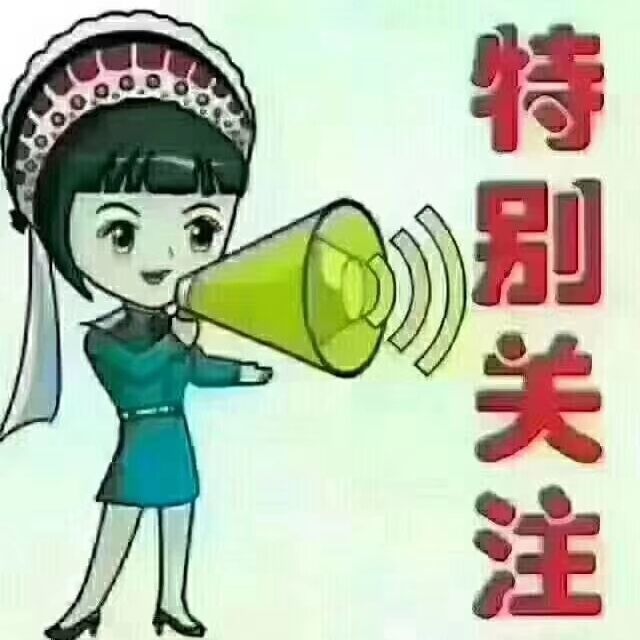 795376 向阳背影