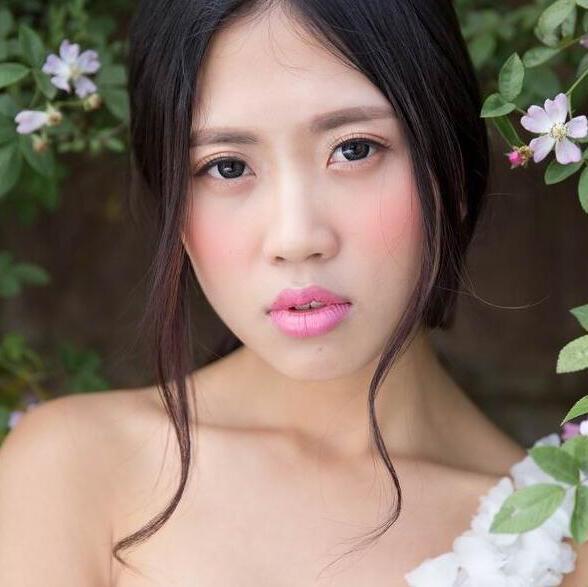 795414 紫荆花