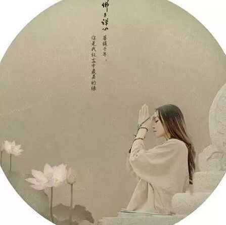 795543 娇阳