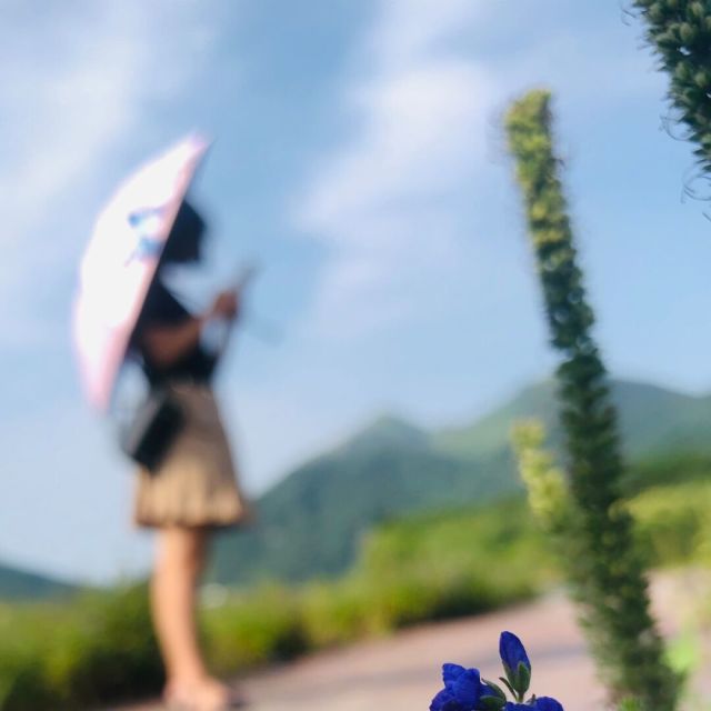 796376 叮噹