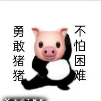796778 飞翔