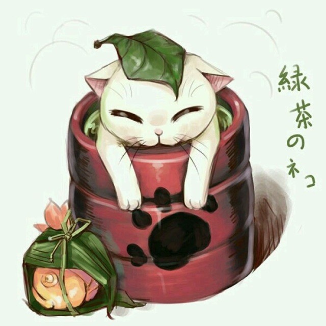 796863 偏身猫