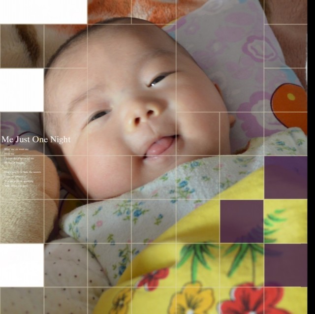 797191 光头辉