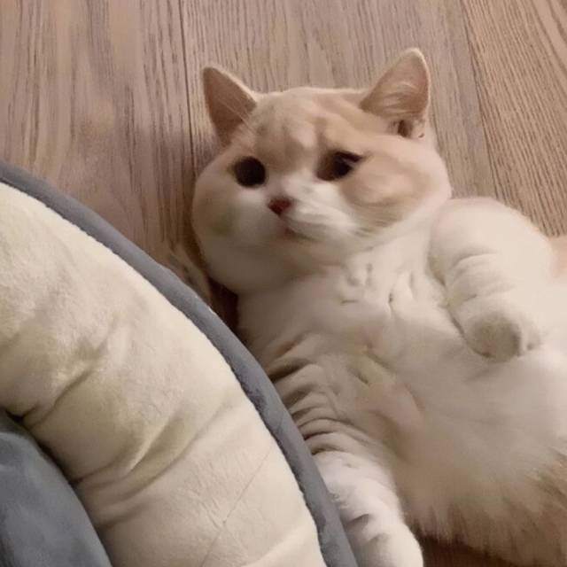 797204 记忆