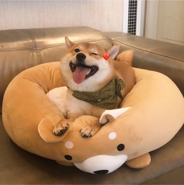 798489 萌萌