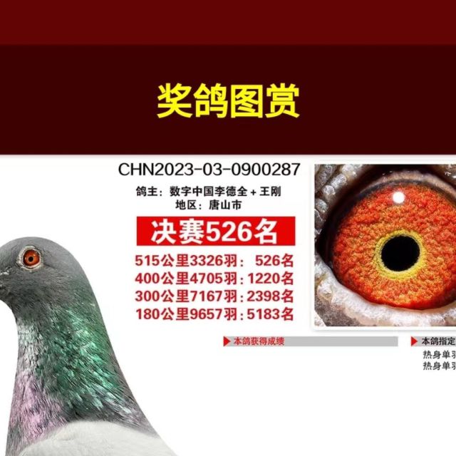 79857 temp