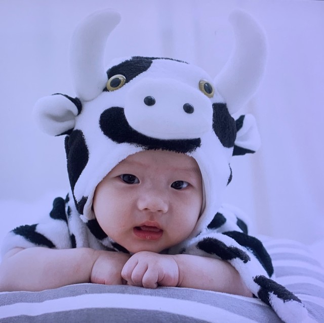 799281 幽雪