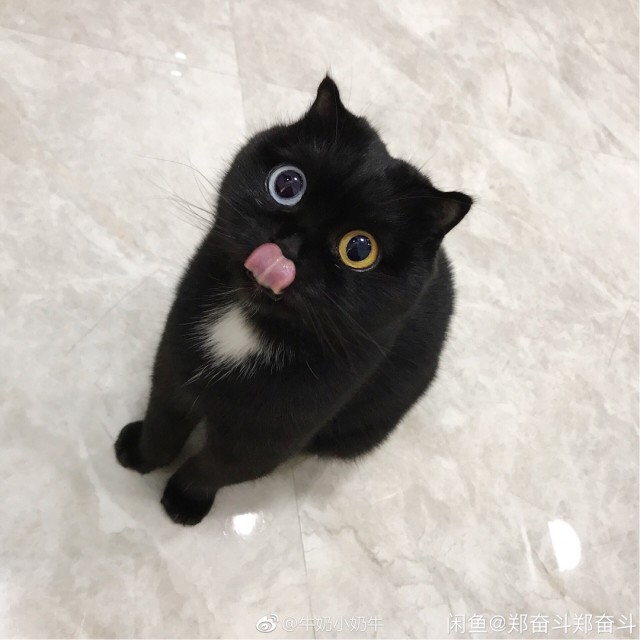 799783 涟漪