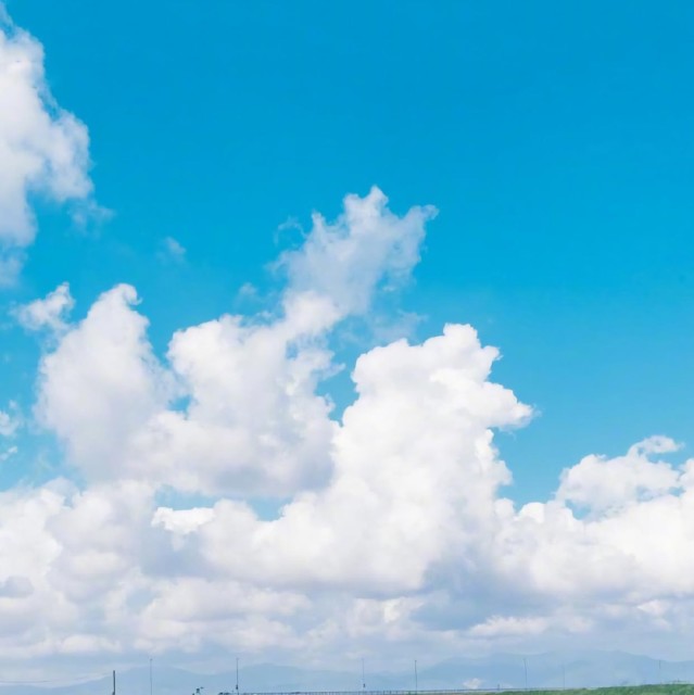 800497 雨后清晨