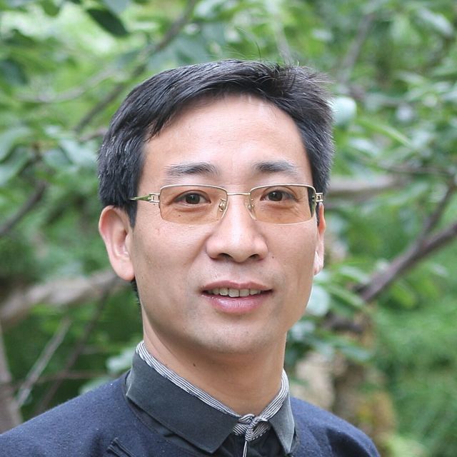 800919 老虎