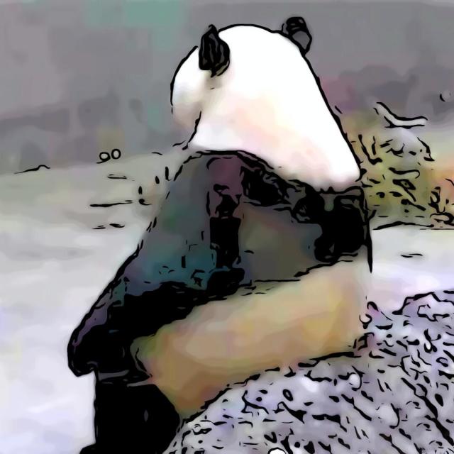 801081 熊猫老爹