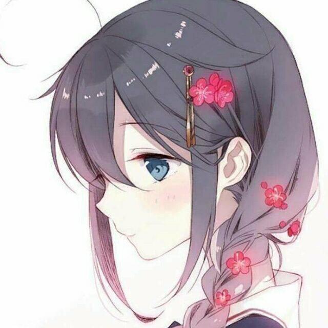 80130 风月