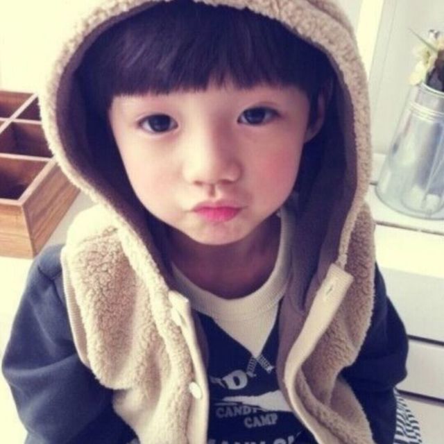 80253 小鹤