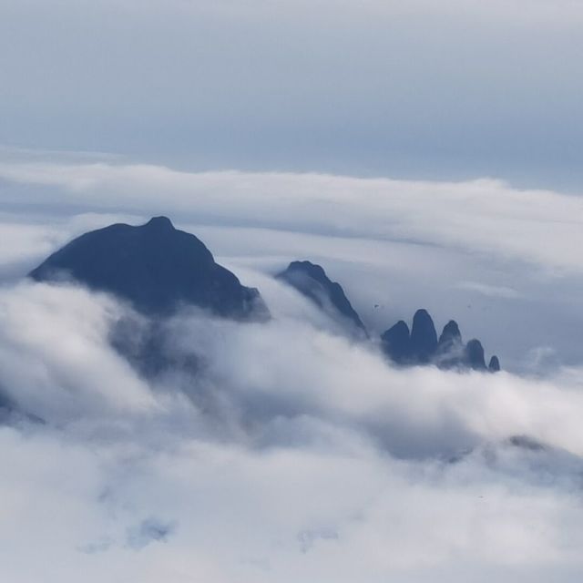 803646 未来