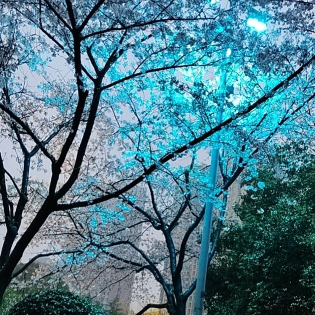 803695 王戈