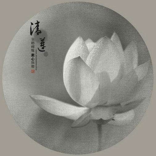 803997 小益