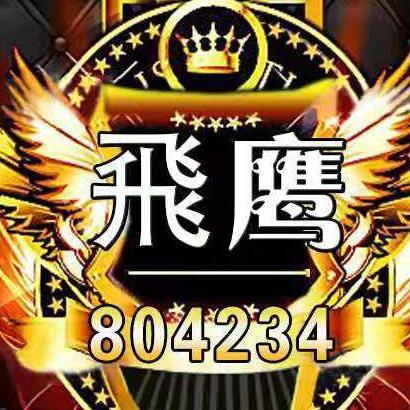 804234 富贵猪