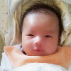 804235 Stephen