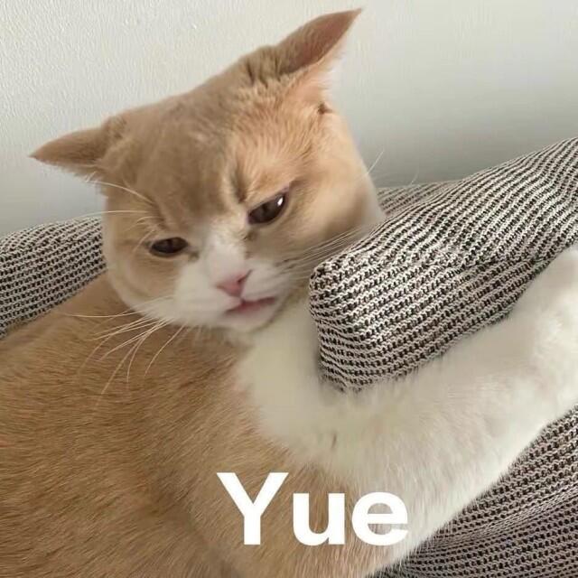 804260  