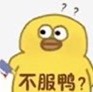 804508 凌
