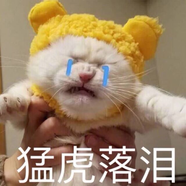 80472859 不言