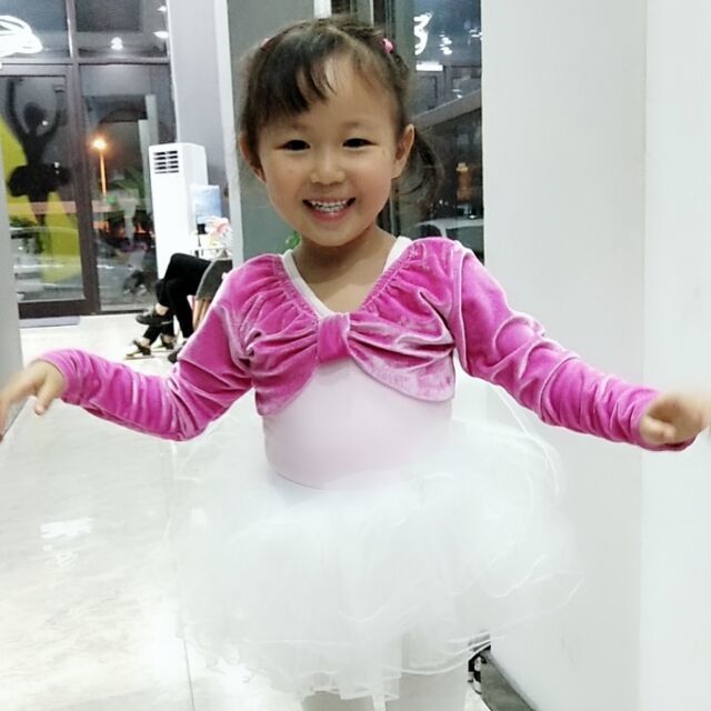 804919 桫椤叶子