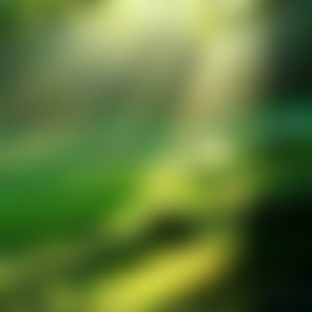 805107 天使の野蛮