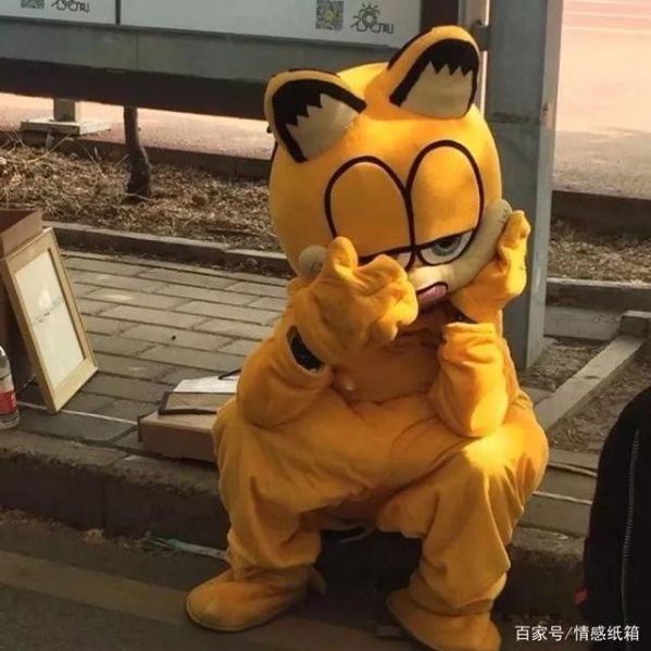 805244 保护伞