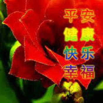 805292 ň緈諨.⒈瞬间°