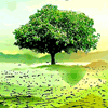 805969 Manage. To