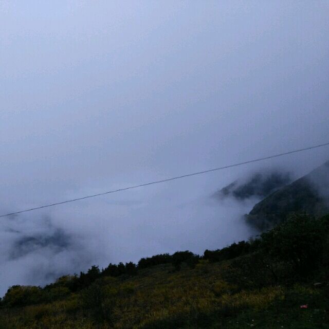 806324 雪原孤狼