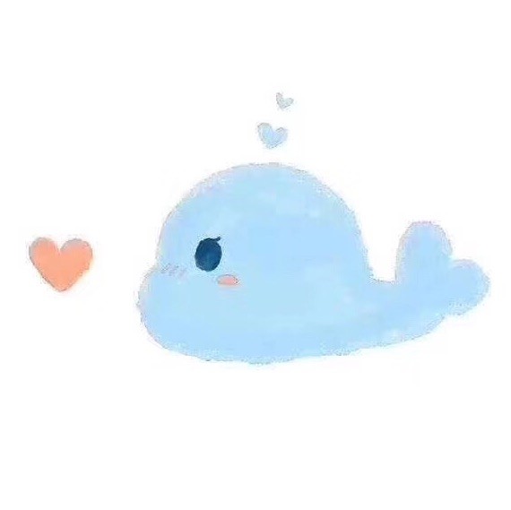 808060 fòяēvēr
