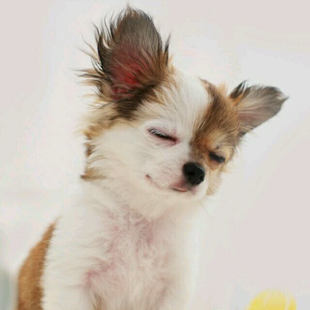 808142 (2).冄20