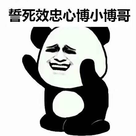 808350 小博哥