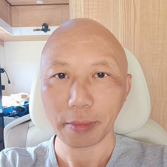 808508 老树