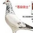 808742 冰可乐