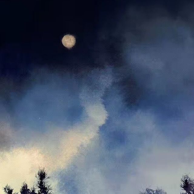 810205 810205