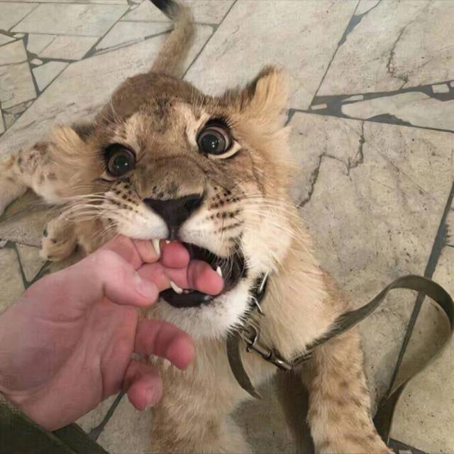 810405 谎伴