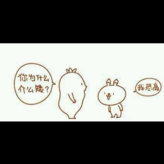 811155 37°海