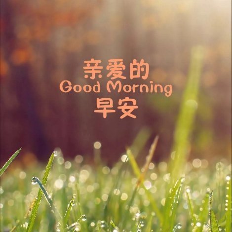 811835 安