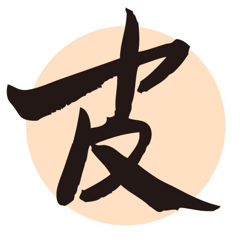 812245 皮皮