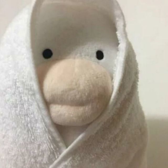 813358550 1安然