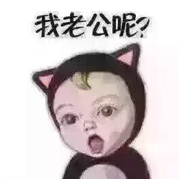 81337 极致@李太太