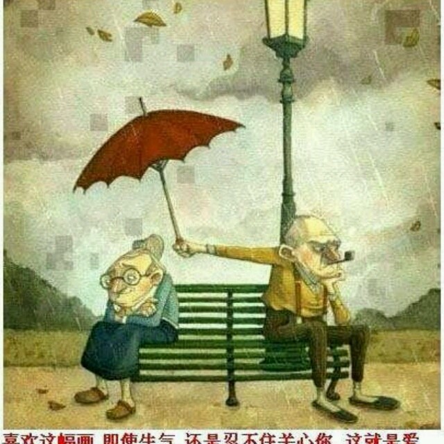 81772 都市达侯