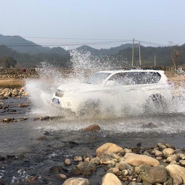 81869 深山樵夫