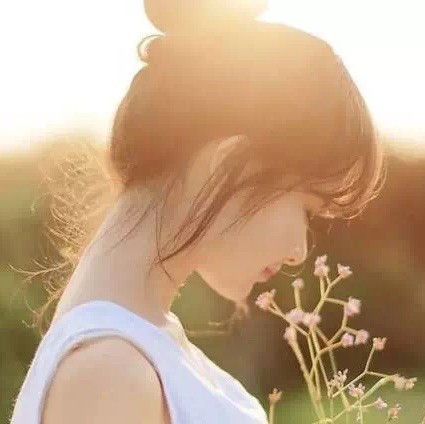 81981 雅韵