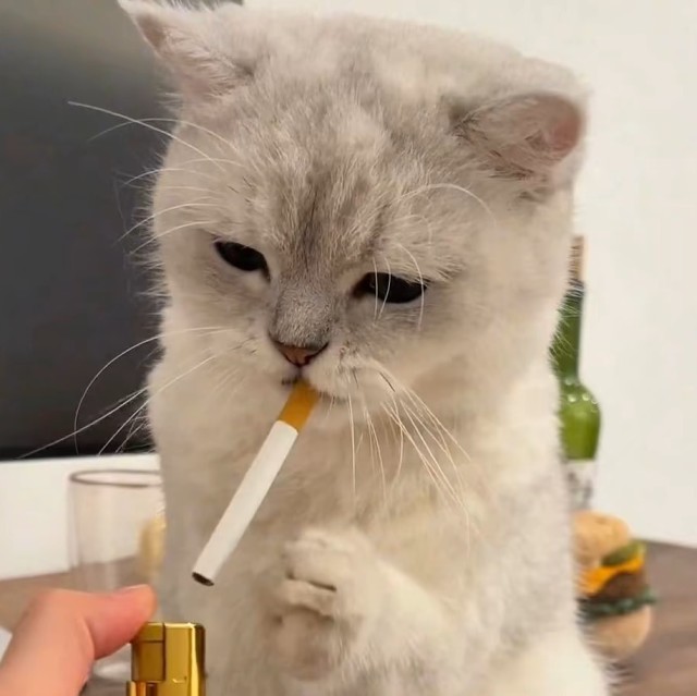 82755 今何在