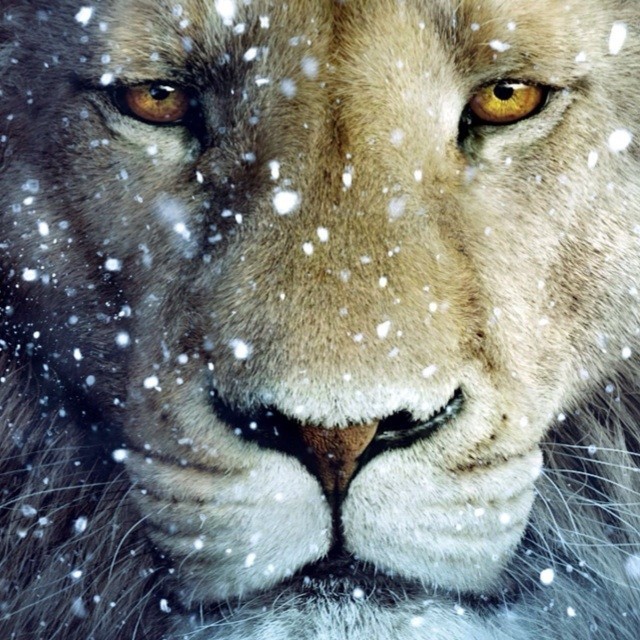 82770 ^Lion^